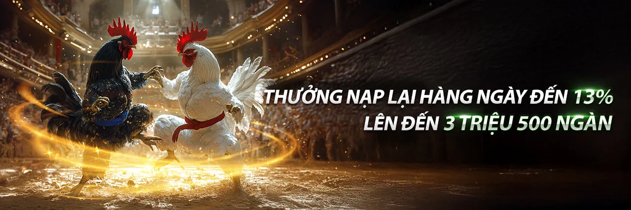 Hình ảnh đá gà trực tuyến sống động